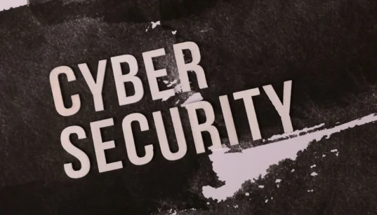 How Brazil's LGPD Changes the Way Companies Handle Personal Data | Privacy Needle