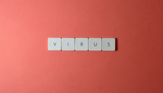 What Cross-Border Startups Should Do in the First 72 Hours After a Data Breach | Privacy Needle