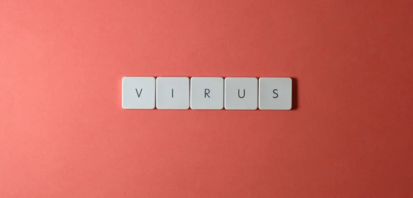 What Cross-Border Startups Should Do in the First 72 Hours After a Data Breach | Privacy Needle