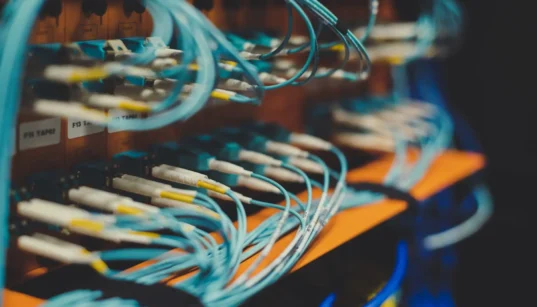 How Asia-Pacific Businesses Can Reduce Third-Party Data Risk | Privacy Needle