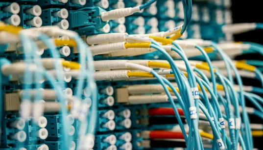 What Telecoms Teams Should Know About Data Portability | Privacy Needle