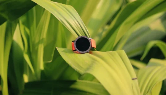 Vagus Nerve Stimulation Devices: A Privacy and Security Audit of Wellness Tech | Privacy Needle