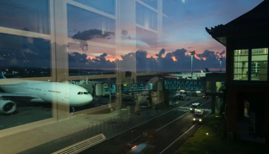 Gamers Tapped for Aviation Roles: Analyzing the Security of Human-Machine Teaming | Privacy Needle