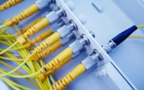 Case Study telecom operators Learn Leaked Database Lessons | Privacy Needle